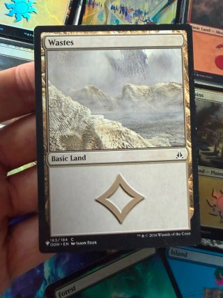 Lote 22 tierras Magic: The Gathering