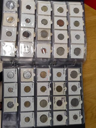Collezione di monete con album
