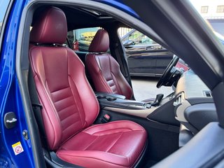 Lexus IS 2.5 300h F Sport + Cuero