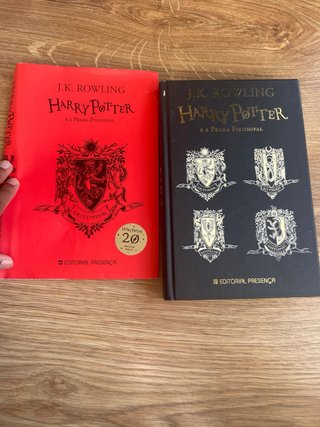 Harry Potter e a Pedra Filosofal 20 Anos - Gryf...