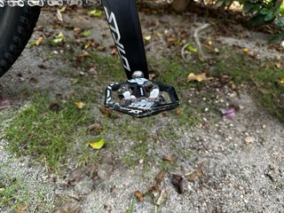 Orbea Oiz 2019