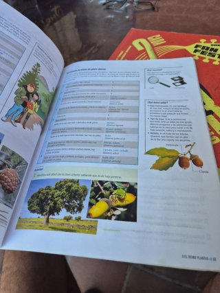 Biología Y Geología 1 Secundaria