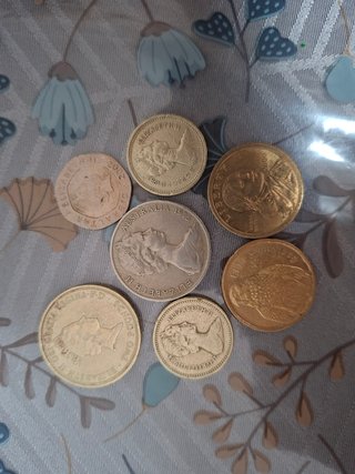 Pounds Commonwealth games XIII, Sacagawea libras