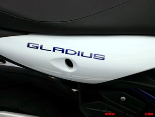 SUZUKI GLADIUS 650 ¿A2?
