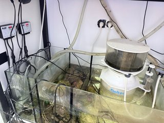 Acuario Marino Completo