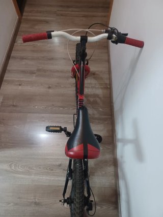 Bicicleta infantil DTB