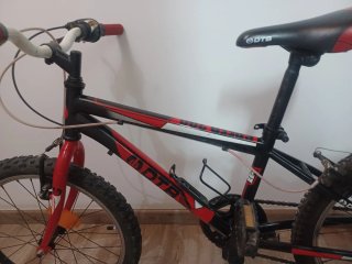 Bicicleta infantil DTB
