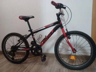 Bicicleta infantil DTB