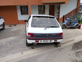Peugeot 205 gti 1991