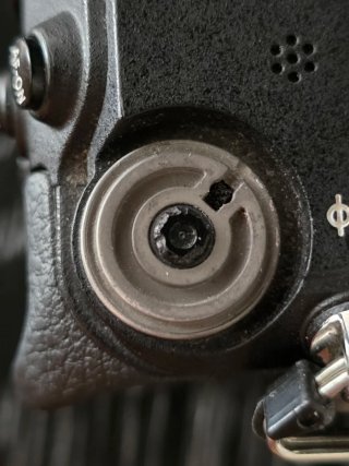 Cámara Nikon Z6 Mirrorless 75k disparos LEER