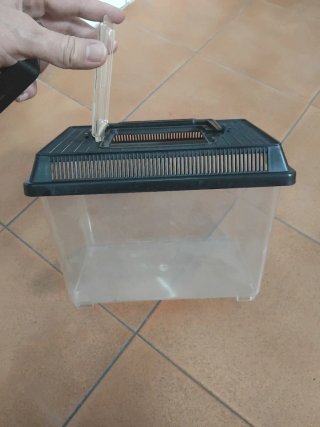 Tortuguera/Pecera Pequeña