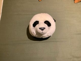 Cabeza de panda decorativa Wild & Soft para pared.