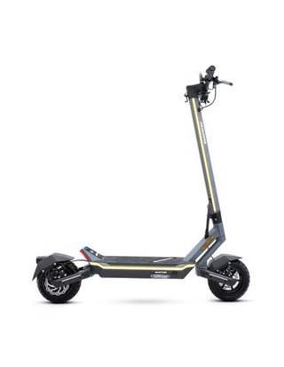 Patinete Eléctrico SmartGyro Raptor Evo LR
