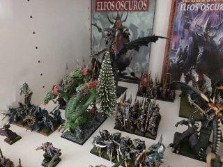 Ejército pintado Elfos Oscuros Warhammer