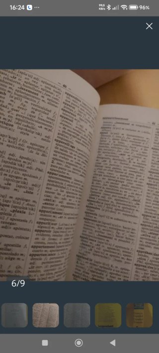 Diccionario español francés español