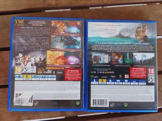 Divinity Original Sin 1 y 2 PS4 playstation 4