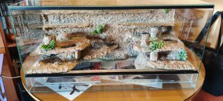Terrario 80x40x40 cm