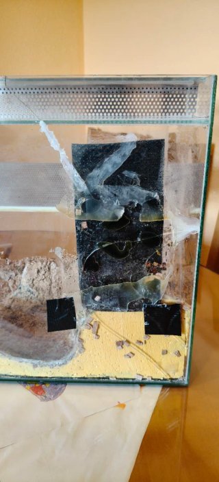 Terrario 80x40x40 cm