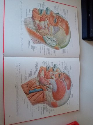 Atlas Anatomia SOBOTTA 2 VOLUMENES