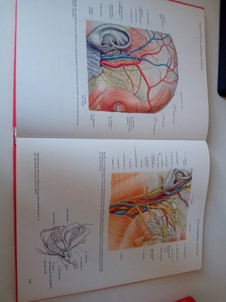 Atlas Anatomia SOBOTTA 2 VOLUMENES