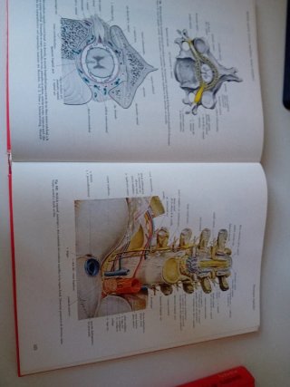 Atlas Anatomia SOBOTTA 2 VOLUMENES