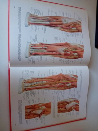 Atlas Anatomia SOBOTTA 2 VOLUMENES