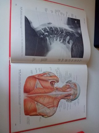 Atlas Anatomia SOBOTTA 2 VOLUMENES