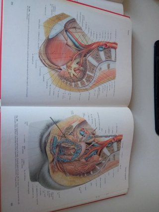 Atlas Anatomia SOBOTTA 2 VOLUMENES