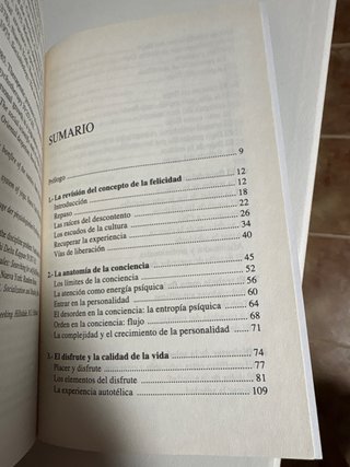 Fluir (Flow) Una psicología de la felicidad