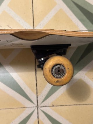 Skate Santa Cruz Poon Regar