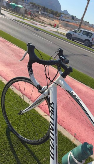 Bicicleta Specialized Talla 56
