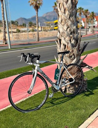 Bicicleta Specialized Talla 56