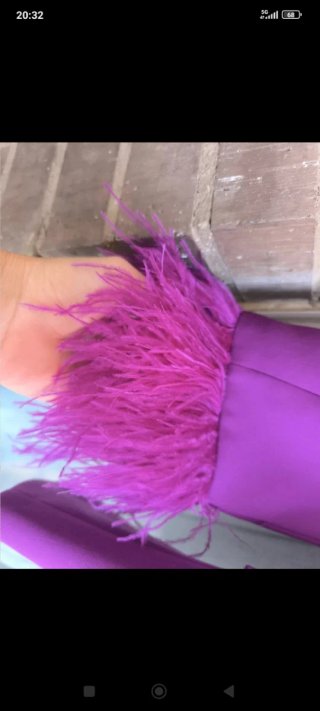 Blazer Zara Morado con Plumas