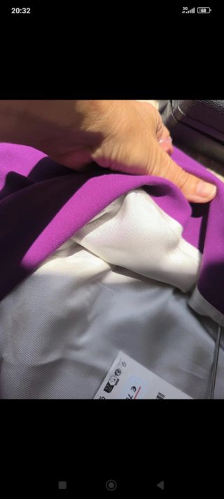 Blazer Zara Morado con Plumas