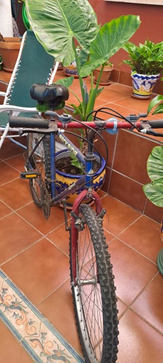 Bicicleta de montaña 18 velocidades