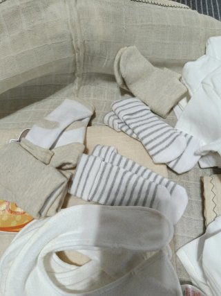 Lote Ropa Bebé: Bodies Manga Larga/Corta