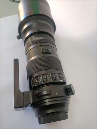 Sigma 150-600mm Sport para Canon