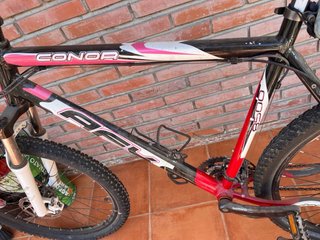 Bicicleta de montaña