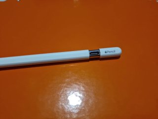 Apple Pencil (USB-C)