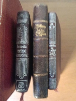 Lote de libros