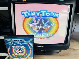 Tiny Toon Sega Megadrive