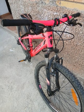 Bici Monty 24