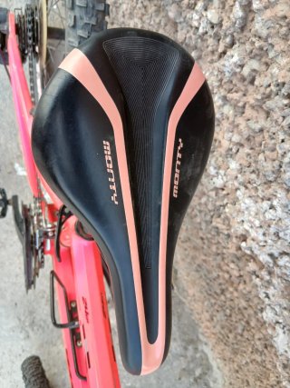Bici Monty 24