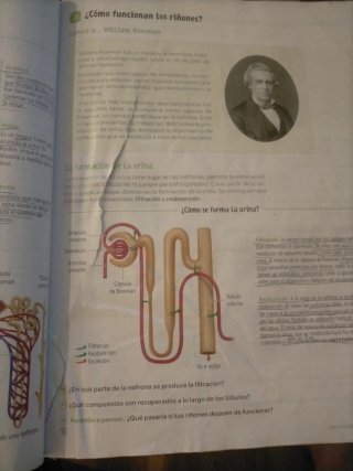 Biología y Geología. 3 Secundaria. Revuela.