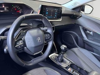 Peugeot 2008 2008 ALLURE BLUEHDI 81KW (110CV)