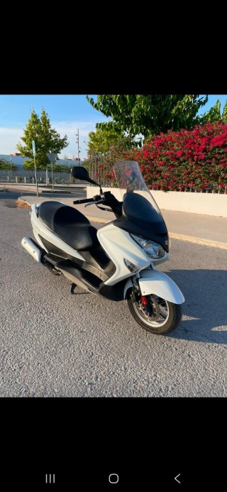 Suzuki burgam
