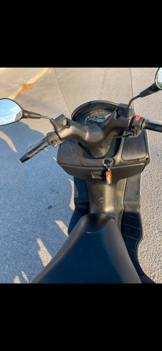 Suzuki burgam