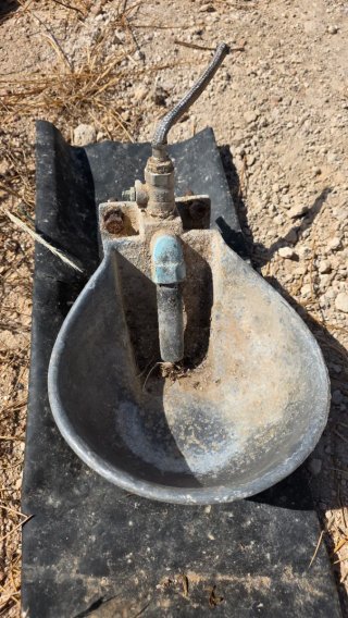 Bebedero para caballos