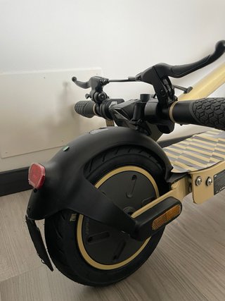 Patinete ZWHEEL ZFOX MAX Autumn