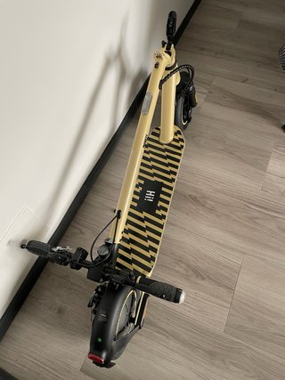 Patinete ZWHEEL ZFOX MAX Autumn